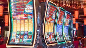 229bet